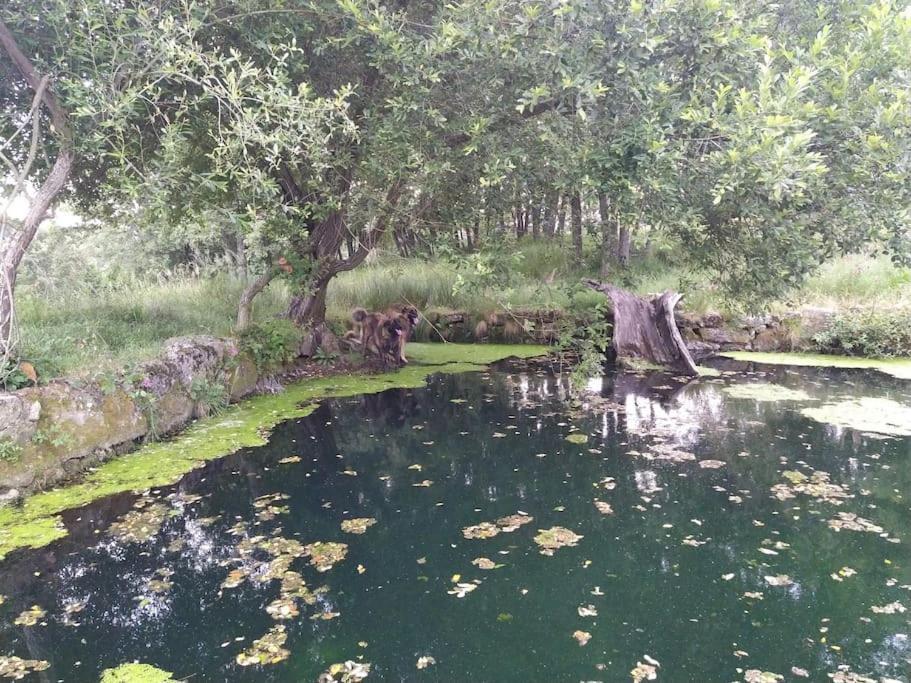 Апартаменты Quinta Do Borges 2 Гуарда Экстерьер фото